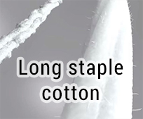 Long staple cotton
